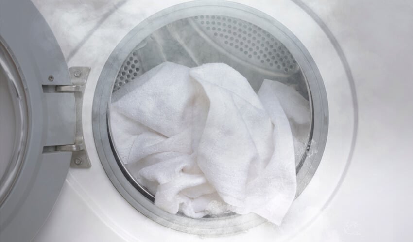 MRA-BlogGraphic-SmokingDryer-0719 image