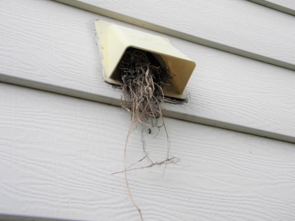 MRA_Mar-22-B_600_Birds-Nest image