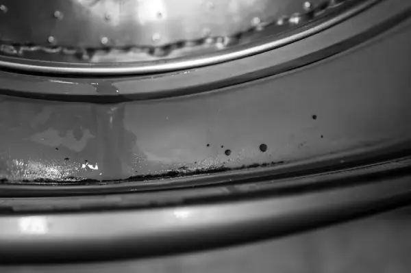 Front-loading washing machine with mold growing on the door gasket