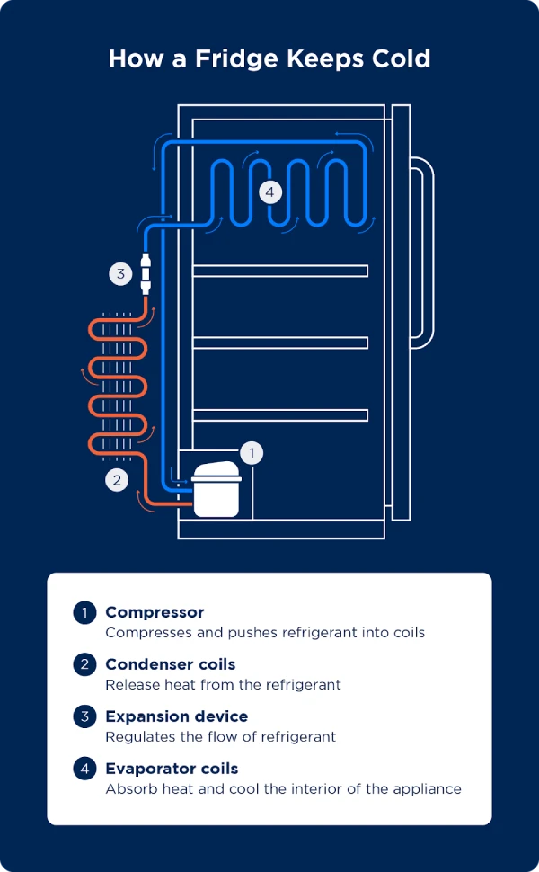Diagram illustrating how a fridge keeps cold.